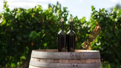 GFV : investir dans le vignoble en France