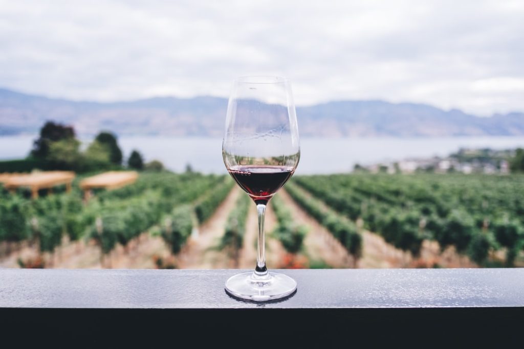 Groupement forestier viticole : 6 étapes pour réussir son investissement dans le vignoble français
