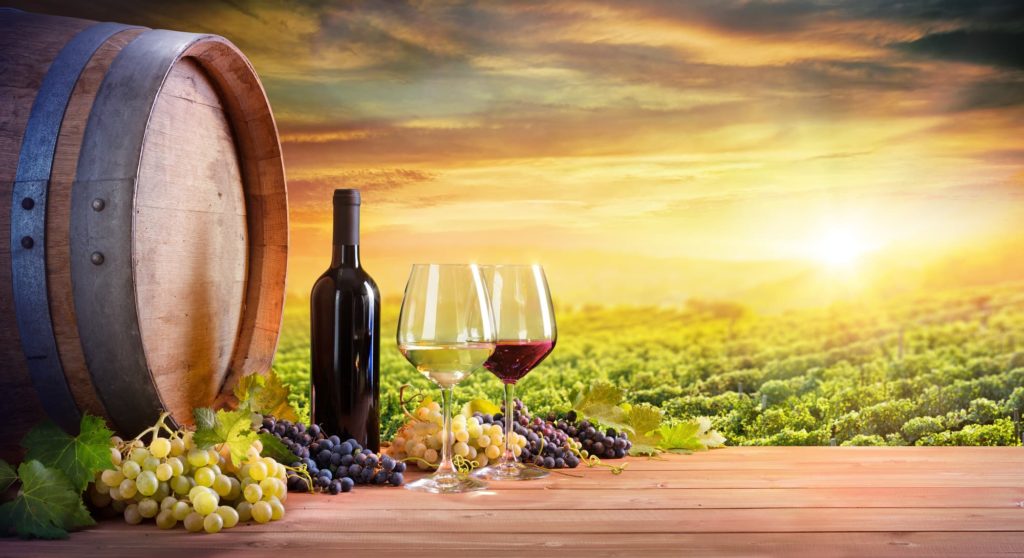 Pourquoi investir dans des parts de groupements fonciers viticoles ?