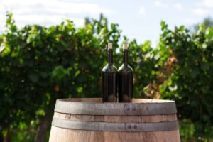 gfv-:-investir-dans-le-vignoble-en-france